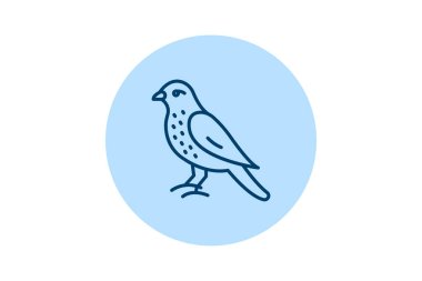 Merlin, vektör, piksel mükemmel, çizer dosyası
