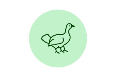 Capercaillie, vektör, piksel mükemmel, illüstratör dosyası