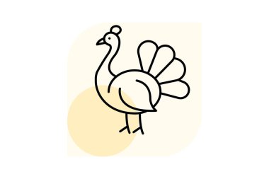 Tavus kuşu, vektör, piksel mükemmel, illüstratör dosyası