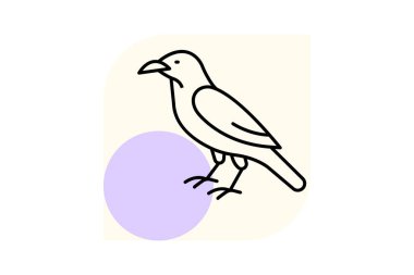 Kuzgun, vektör, piksel mükemmel, illüstratör dosyası