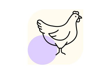 Tavuk, vektör, piksel mükemmel, illüstratör dosyası