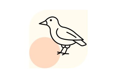 Finch, vektör, piksel mükemmel, çizer dosyası