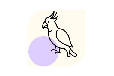 Papağan, vektör, piksel mükemmel, illüstratör dosyası