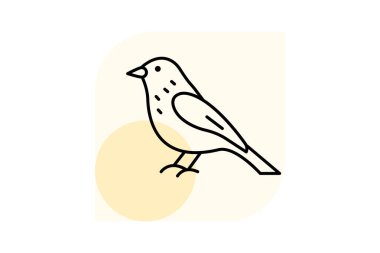 Siskin, vektör, piksel mükemmel, çizer dosyası