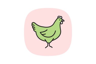 Tavuk, vektör, piksel mükemmel, illüstratör dosyası