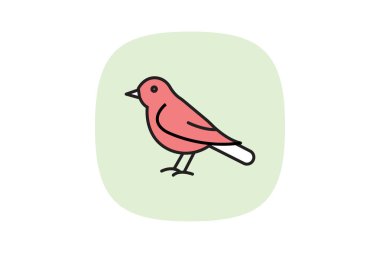 Blackbird, vektör, piksel mükemmel, illüstratör dosyası