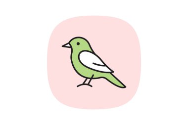 Kingbird, vektör, piksel mükemmel, illüstratör dosyası