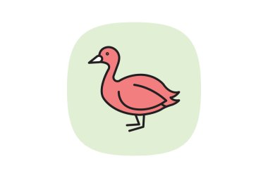 Coot, vektör, piksel mükemmel, illüstratör dosyası