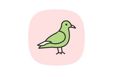 Skua, vektör, piksel mükemmel, illüstratör dosyası