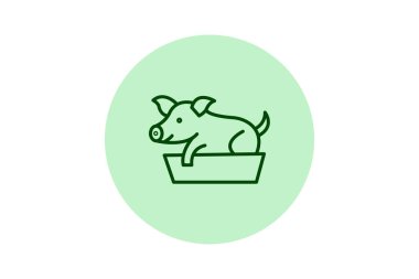 Besleme Kutusundaki Domuz, vektör, piksel mükemmel, illüstratör dosyası