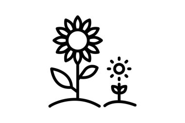 Ayçiçeği Alanı, vektör, piksel mükemmel, illüstratör dosyası