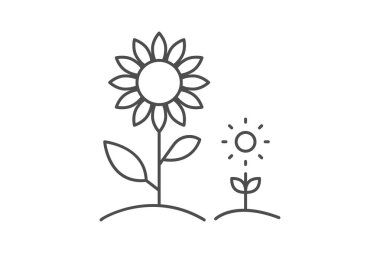 Ayçiçeği Alanı, vektör, piksel mükemmel, illüstratör dosyası