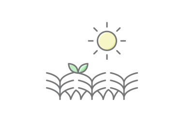 Ekinler Üzerindeki Güneş, vektör, piksel mükemmel, illüstratör dosyası