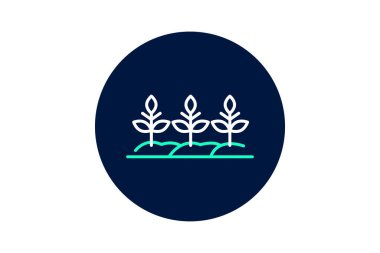 Düz Satır Ekinleri, vektör, piksel mükemmel, illüstratör dosyası