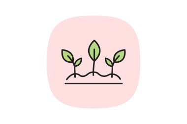 Filizlenme bitkileri, vektör, piksel mükemmel, illüstratör dosyası