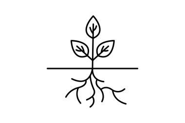 Köklü büyüme, vektör, piksel mükemmel, illüstratör dosyası