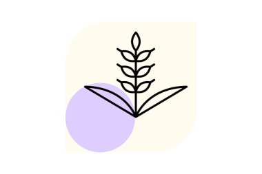 Altın Buğday Alanı, vektör, piksel mükemmel, illüstratör dosyası