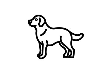 Golden Retriever, vektör, piksel mükemmel, illüstratör dosyası