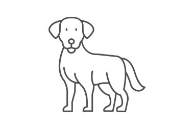 Labrador Retriever, vektör, piksel mükemmel, illüstratör dosyası