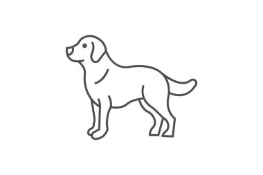 Golden Retriever, vektör, piksel mükemmel, illüstratör dosyası