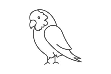 Afrikalı Gri Papağan, vektör, piksel mükemmel, illüstratör dosyası