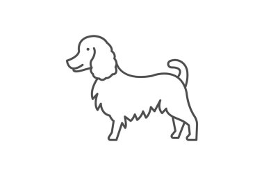 Collie, vektör, piksel mükemmel, illüstratör dosyası