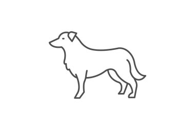 Collie Kenarı, vektör, piksel mükemmel, illüstratör dosyası