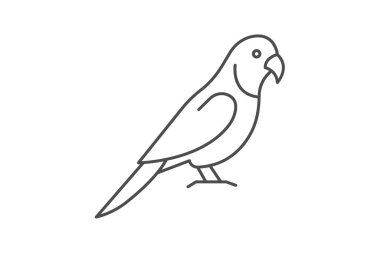 Quaker Papağanı, vektör, piksel mükemmel, illüstratör dosyası