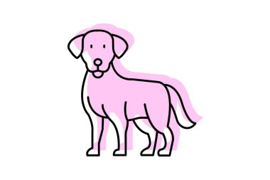 Labrador Retriever, vektör, piksel mükemmel, illüstratör dosyası