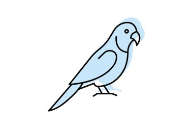 Quaker Papağanı, vektör, piksel mükemmel, illüstratör dosyası