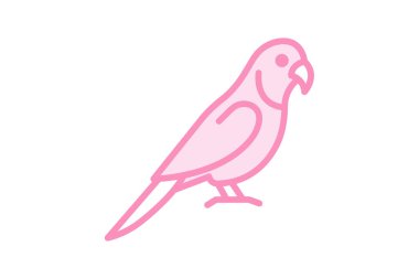 Quaker Papağanı, vektör, piksel mükemmel, illüstratör dosyası