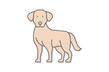 Labrador Retriever, vektör, piksel mükemmel, illüstratör dosyası