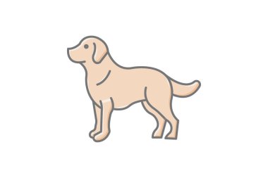 Golden Retriever, vektör, piksel mükemmel, illüstratör dosyası