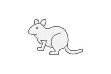 Degu, vektör, piksel mükemmel, çizer dosyası