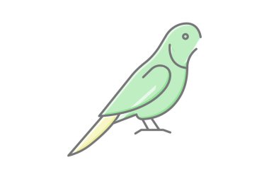 Quaker Papağanı, vektör, piksel mükemmel, illüstratör dosyası