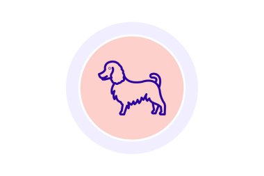 Collie, vektör, piksel mükemmel, illüstratör dosyası