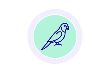 Quaker Papağanı, vektör, piksel mükemmel, illüstratör dosyası