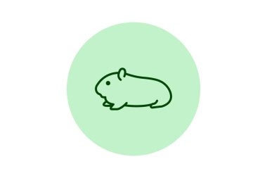 Gine domuzu, vektör, piksel mükemmel, illüstratör dosyası