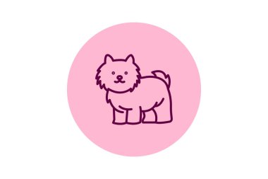 Shih Tzu, vektör, piksel mükemmel, çizer dosyası