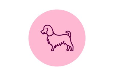 Collie, vektör, piksel mükemmel, illüstratör dosyası