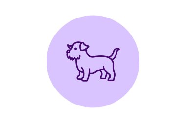 Norfolk Terrier, vektör, piksel mükemmel, illüstratör dosyası