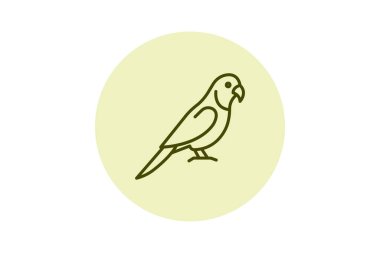 Quaker Papağanı, vektör, piksel mükemmel, illüstratör dosyası