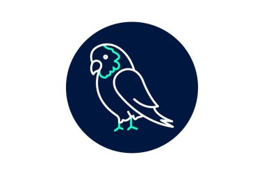 Afrikalı Gri Papağan, vektör, piksel mükemmel, illüstratör dosyası