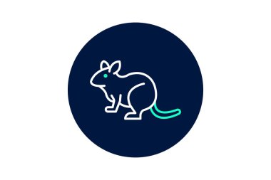 Degu, vektör, piksel mükemmel, çizer dosyası