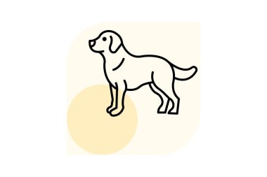 Golden Retriever, vektör, piksel mükemmel, illüstratör dosyası