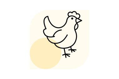 Tavuk, vektör, piksel mükemmel, çizer dosyası