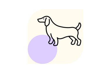 Dachshund, vektör, piksel mükemmel, illüstratör dosyası