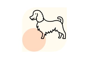 Collie, vektör, piksel mükemmel, illüstratör dosyası