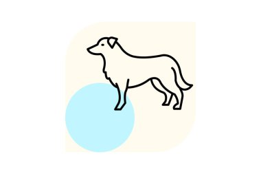 Collie Kenarı, vektör, piksel mükemmel, illüstratör dosyası