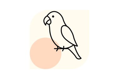 Şeftali Yüzlü Aşk Kuşu, vektör, piksel mükemmel, illüstratör dosyası